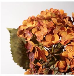 Dekoratiivne lill Hydrangea, oranž/roheline, H74cm