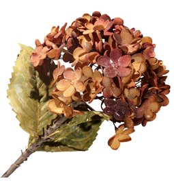 Dekoratiivne lill Hydrangea, punane/oranž, H74cm