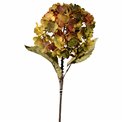 Dekoratiivne lill Hydrangea, kollane/punane/roheline, H74cm