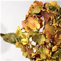 Dekoratiivne lill Hydrangea, kollane/punane/roheline, H74cm