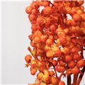 Декоративное растение Berry spray, оранжевый/желтый, H53cm