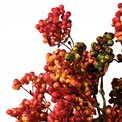 Dekoratiivne taim Berry spray, , roheline/punane, H57cm