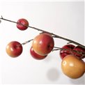 Dekoratiivne taim Mini apple branch, punane/oranž/pruun, H117cm