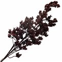 Dekoratiivne taim Black berry spray, H62cm
