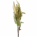 Decorative plant Coniogramme spray, green/brown, H105cm