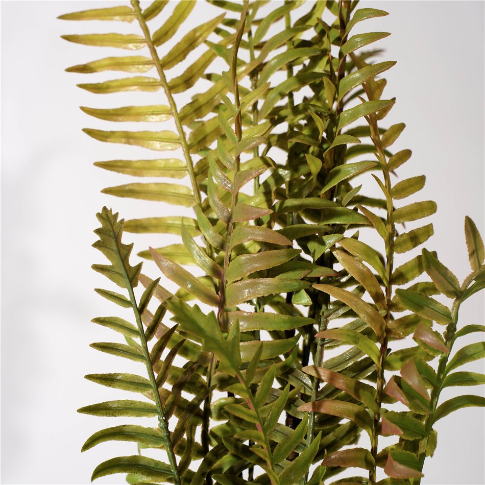 Decorative plant Coniogramme spray, green/brown, H105cm