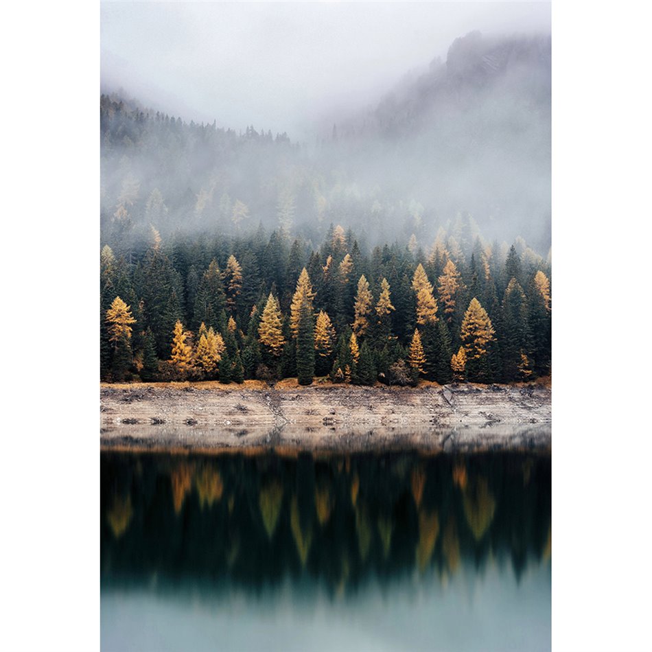 Klaasist pilt Forest in fog, 80x120cm