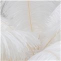 Floor lamp Feather Palm, white, H165xD65cm, E27 35W(MAX)