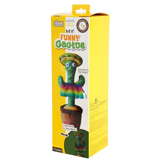 CACTUS DANSANT, H31x13x13cm