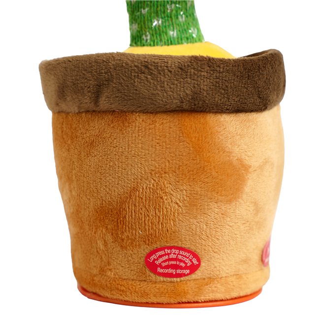 CACTUS DANSANT, H31x13x13cm