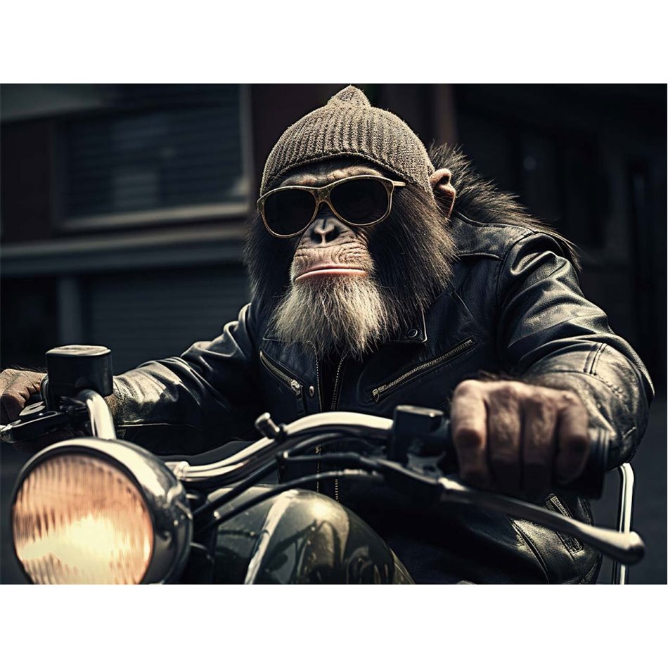 Glass picture Cool Rider, 60x80cm