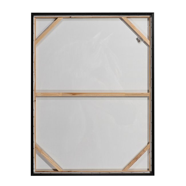 Картина на холсте Vivaldi, 50x70cm