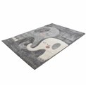 Carpet Lahappy 301, grey, 120x170cm
