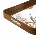 Decorative glass tray Fasty L, 32.5x50.7x4.5cm