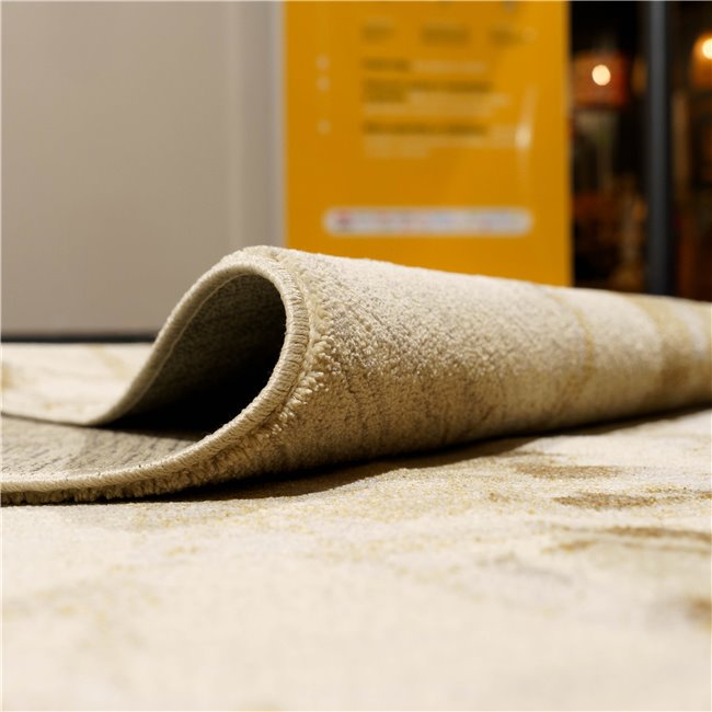 Carpet Timon 201, beige/brown, 200x290cm
