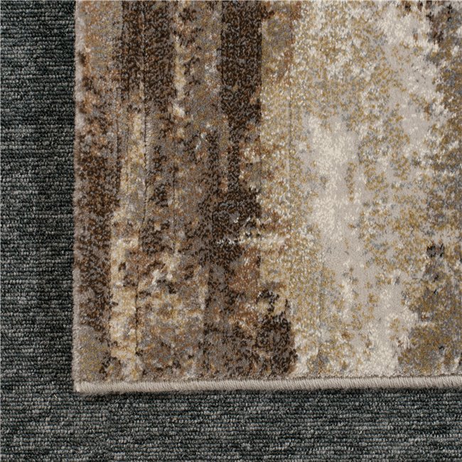 Carpet Argentum 9293, 160x230cm