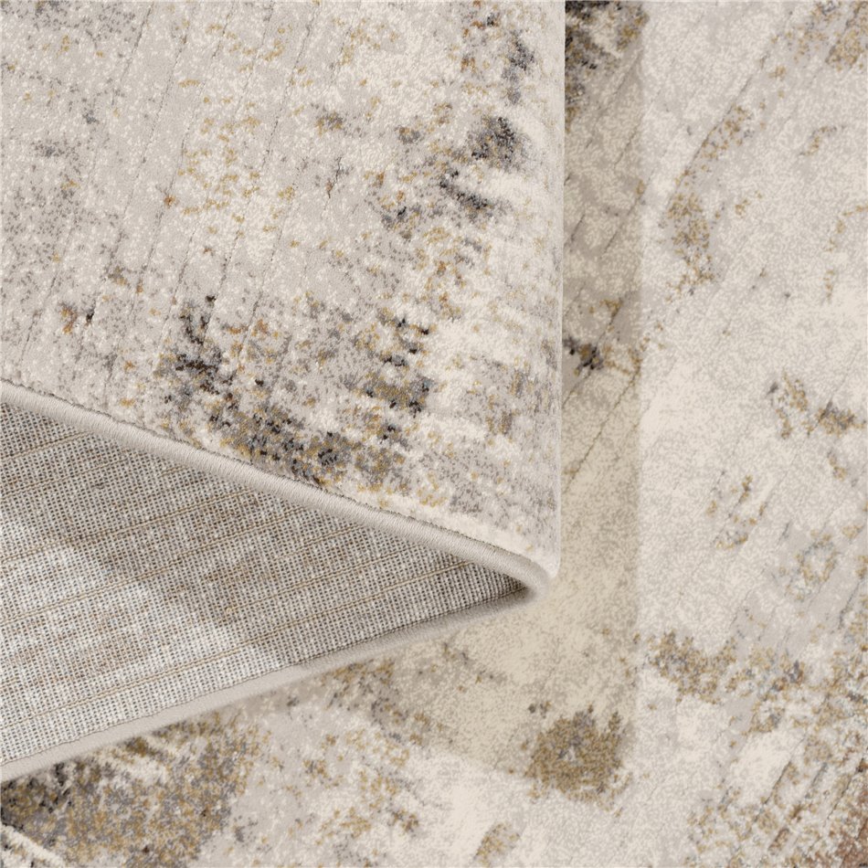 Carpet Argentum 9293, 160x230cm