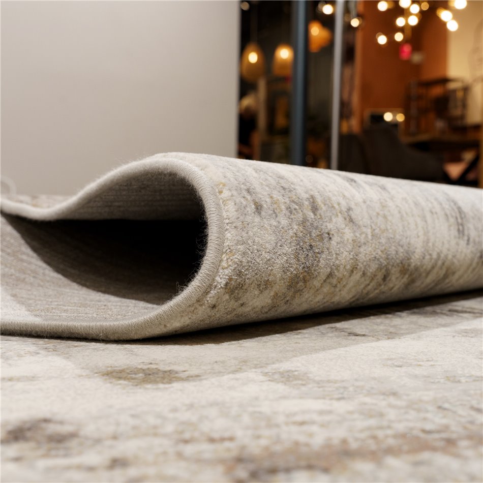Carpet Argentum 9293, 160x230cm