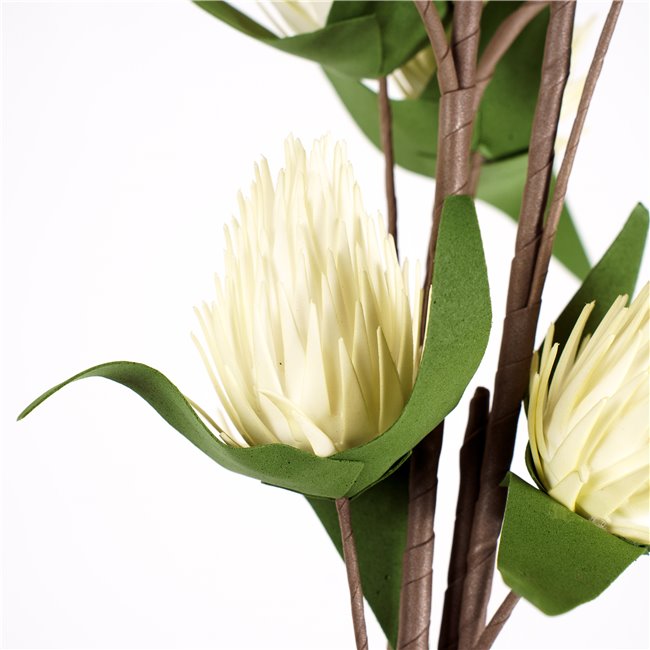 Декоративное растение Eryngium planum SK3, 119cm