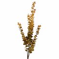 Decorative plant Berberis GR/BR, H90cm