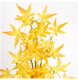 Dekoratiivne taim Mountain Fire yellow, roheline/kollane, H65cm