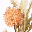 Dekoratiivne taimekimp Miracle CR.OR.COF1, H80cm
