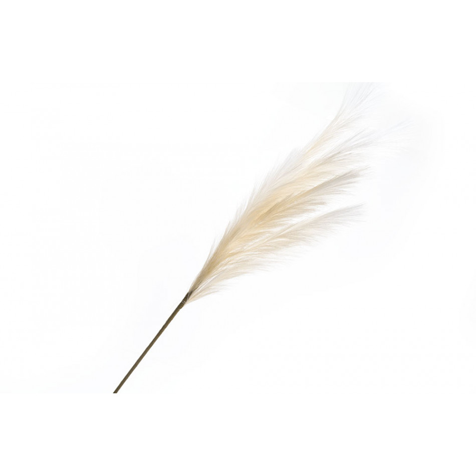 Decorative plant Alopecurus, cream colour, H110cm