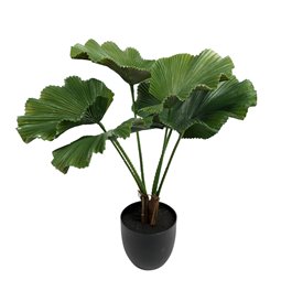 Декоративная пальма в горшке, H65x62x62cm