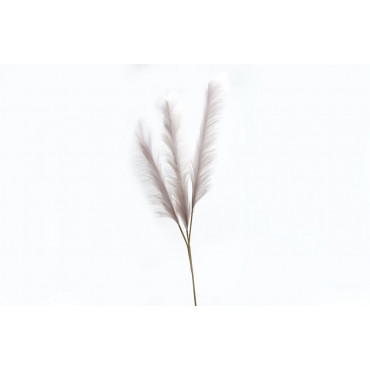Decorative plant Malepartyus Rotfede, H140cm