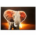 Glass picture Elephant at sunset LED, 120x80x3.5cm