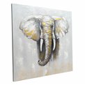 Õlimaal Big Elephant, 100x100cm