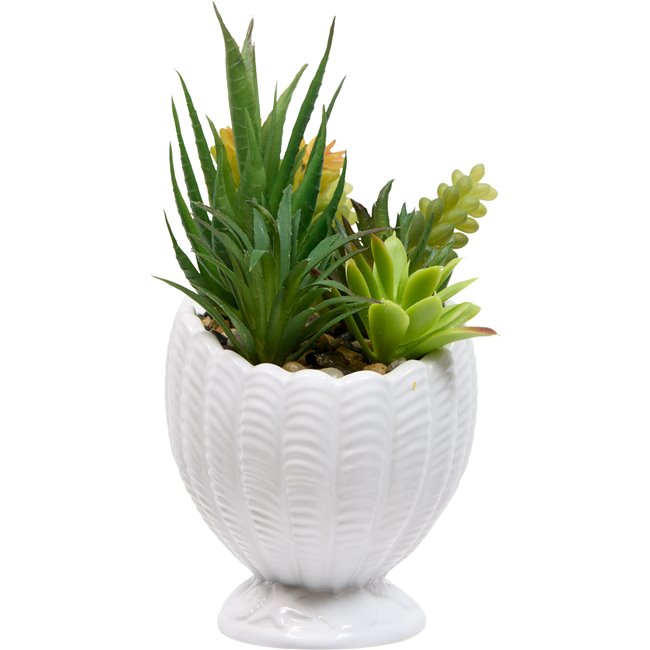 PLANTE COQUILLAGE OCEA, H20x14.5x10cm