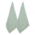 Kitchen towel Terry, set of 2 pcs., green, 45x70cm