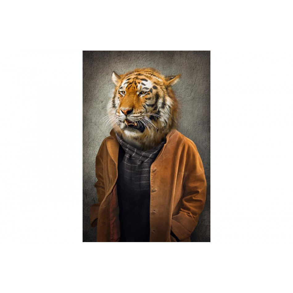 Picture Tiger with cardigan, 80x120cm