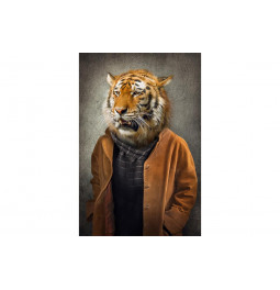 Picture Tiger with cardigan, 80x120cm