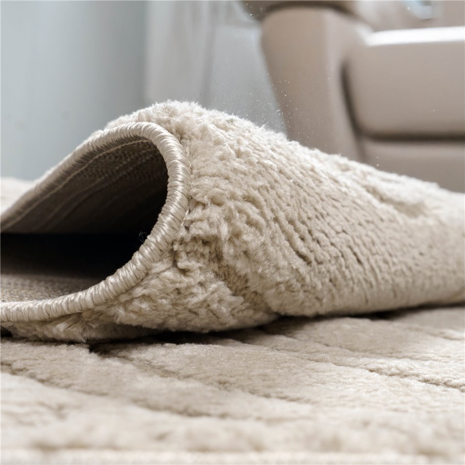 Carpet Alloy 54101/B6X/J, light taupe, 133x190cm