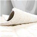 Carpet Alloy 54406/B6Y/W, ivory color, 133x190cm