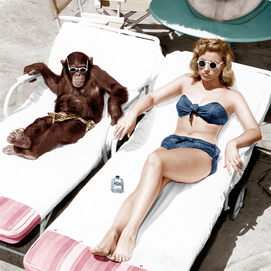 Canva Sunbath, 95x95cm