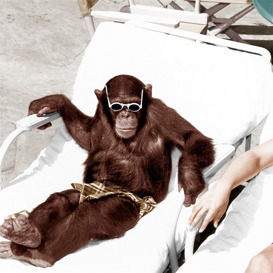 Canva Sunbath, 95x95cm