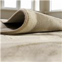 Carpet Argentum 6575, 160x230cm
