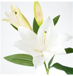 Decorative flower Lily white 1, H94cm