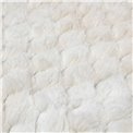 Carpet Adriel, beige, 120x170cm
