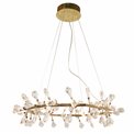 Pendant lamp Jonowo gold, transparent/gold color,  D80cm, LED 64W, 3000K
