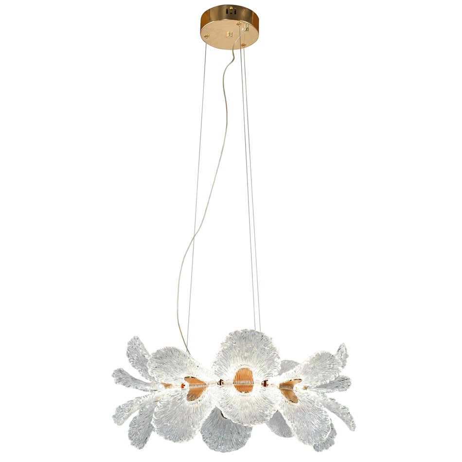 Pendant lamp Smilroure 60, transparent/gold color, D60cm, LED 80W, 3000K/4000K/6000K