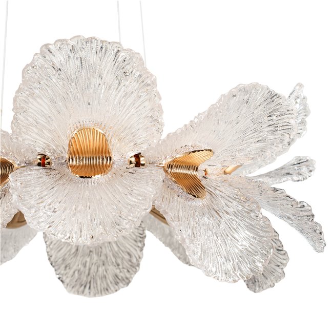 Pendant lamp Smilroure 60, transparent/gold color, D60cm, LED 80W, 3000K/4000K/6000K, 5040lm