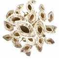 Pendant lamp Yabukko, transparent/gold color, D80cm, LEDx26 4W, LEDx8 3W, 3000K/4000K/6000K