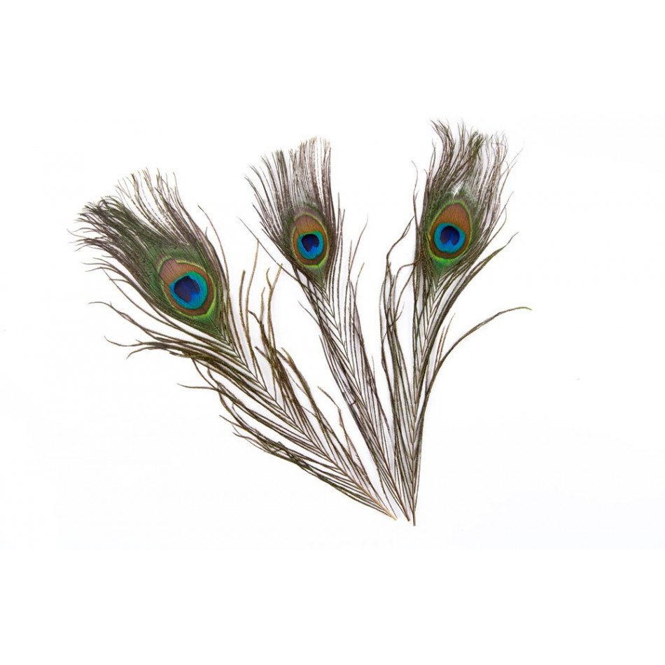 Feather decor, set of 3 feathers, 7x30cm 