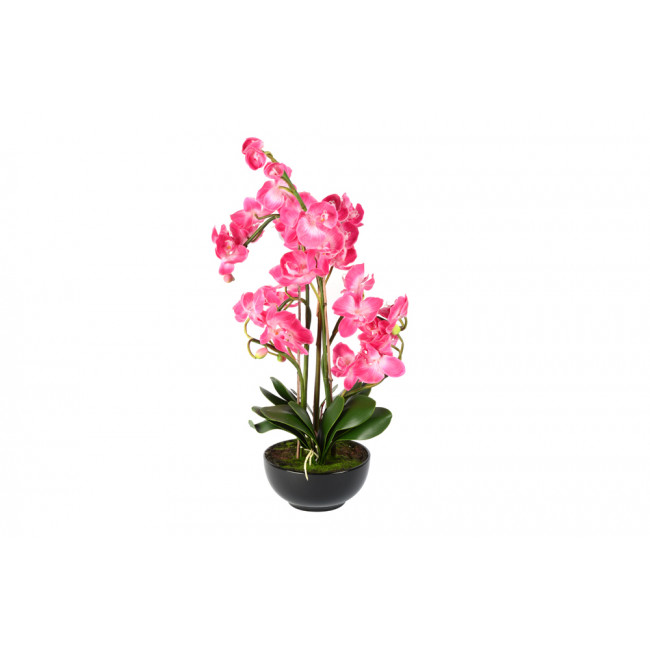 Orchid in pot, pink, 83cm