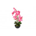 Orchid in pot, pink, 83cm