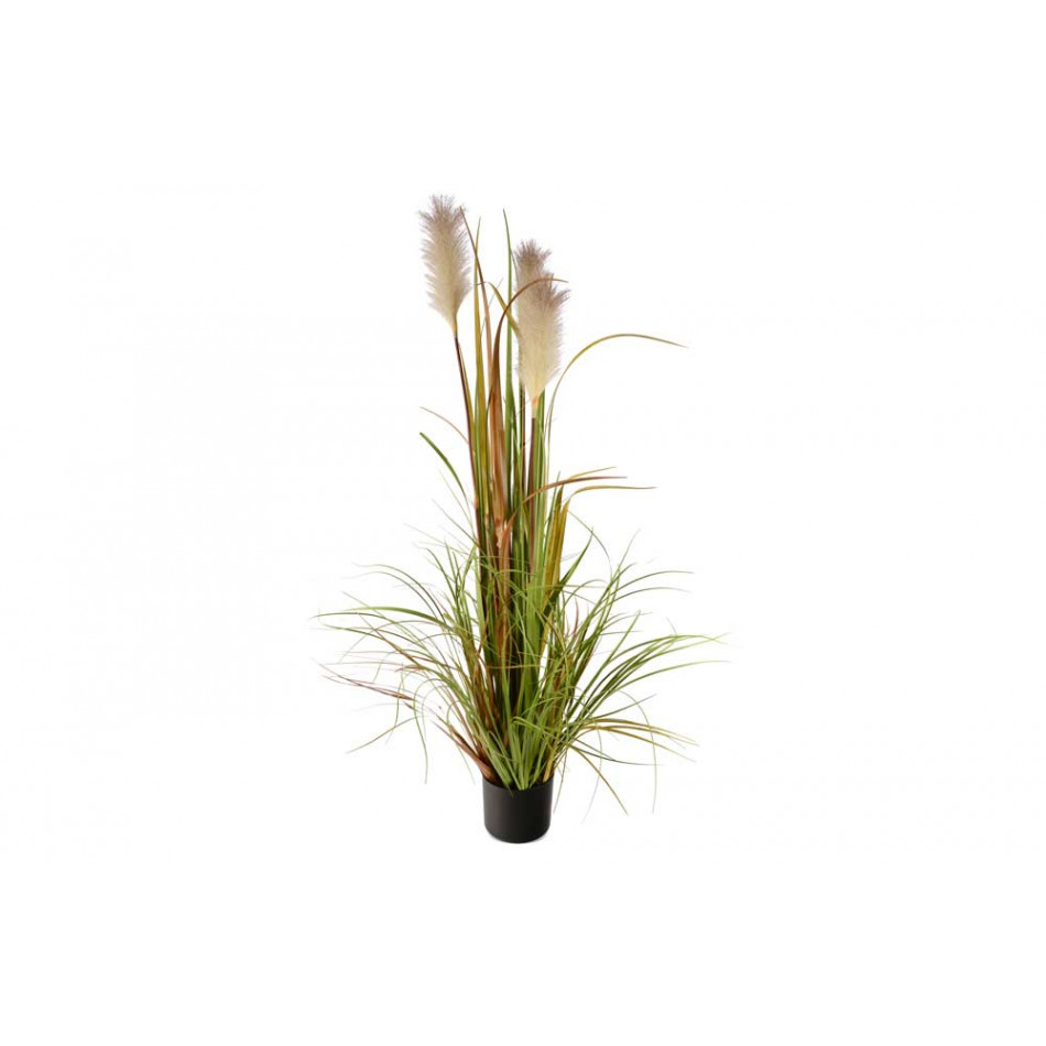 Декоративное растение, H-120cm